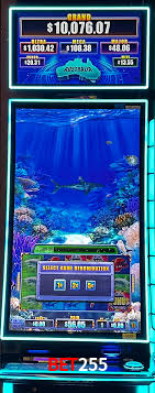 Cassino Online Ao Vivo Bet255